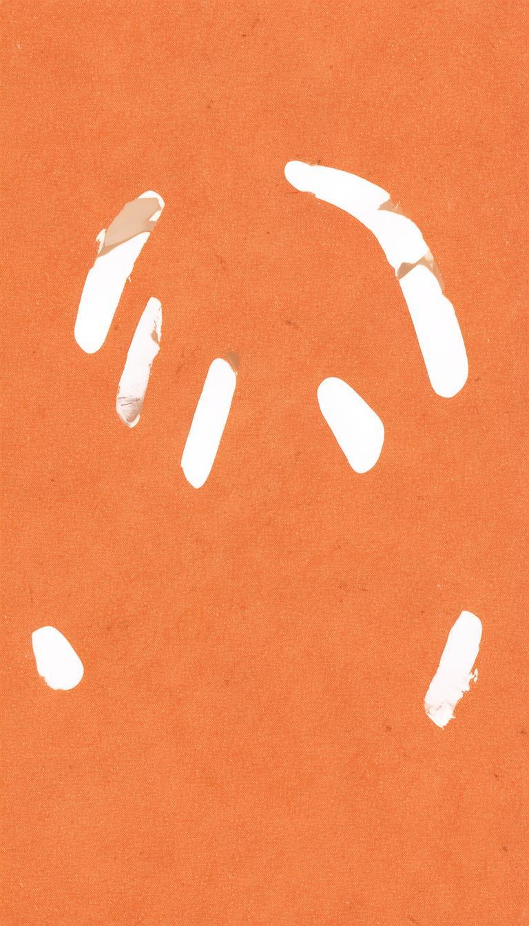 抖音风水视频怎样涨粉快_抖音风水涨粉技巧插图