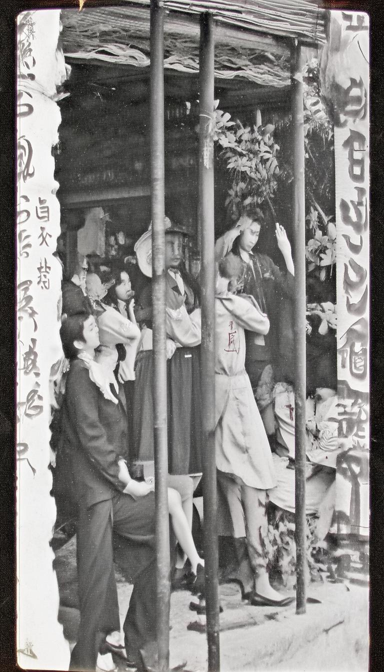 金铲铲抖音号涨粉快吗_金铲铲抖音号粉丝增长速？插图